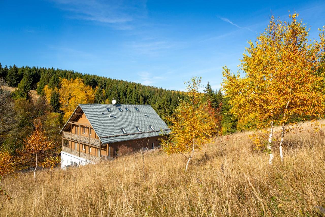 Appartement Krusnohorske Strane à Loučná pod Klínovcem Extérieur photo