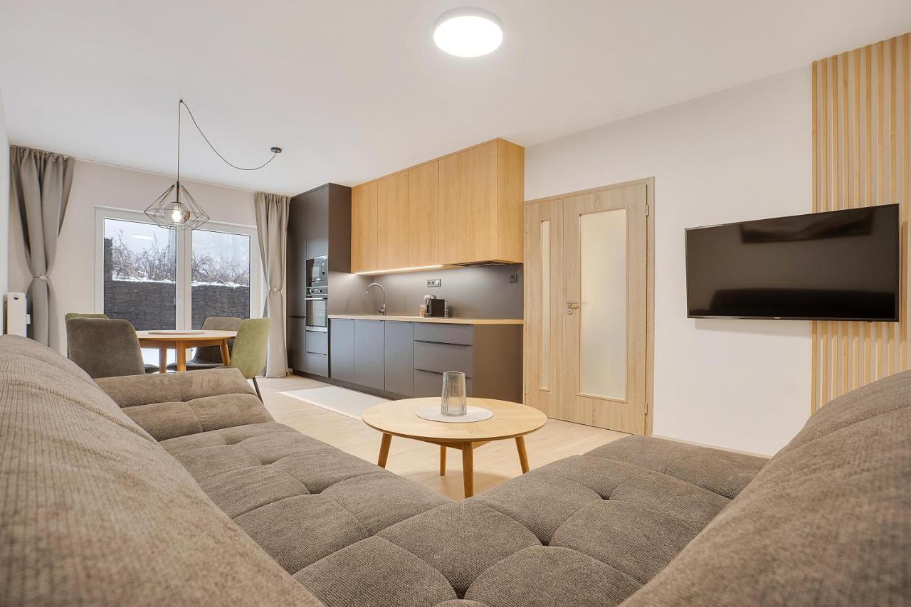 Appartement Krusnohorske Strane à Loučná pod Klínovcem Extérieur photo