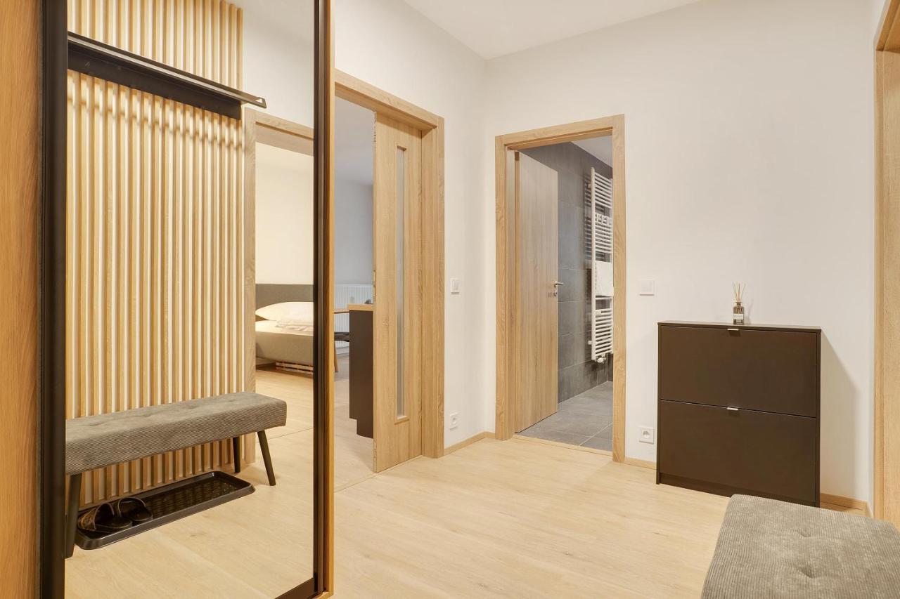Appartement Krusnohorske Strane à Loučná pod Klínovcem Extérieur photo