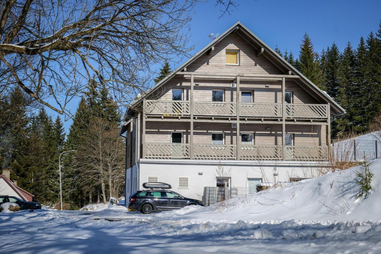 Appartement Krusnohorske Strane à Loučná pod Klínovcem Extérieur photo